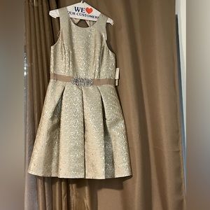 Designer Silver A line firm fit top with big pleats